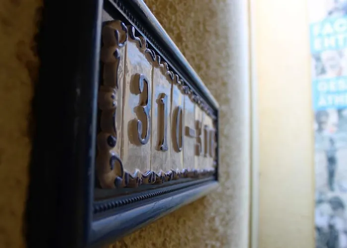 Bougainvillea Bamira